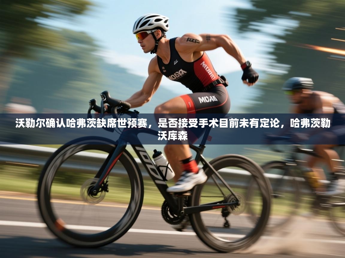 乐动体育-沃勒尔确认哈弗茨缺席世预赛,是否接受手术目前未有定论,哈弗茨勒沃库森 第1张