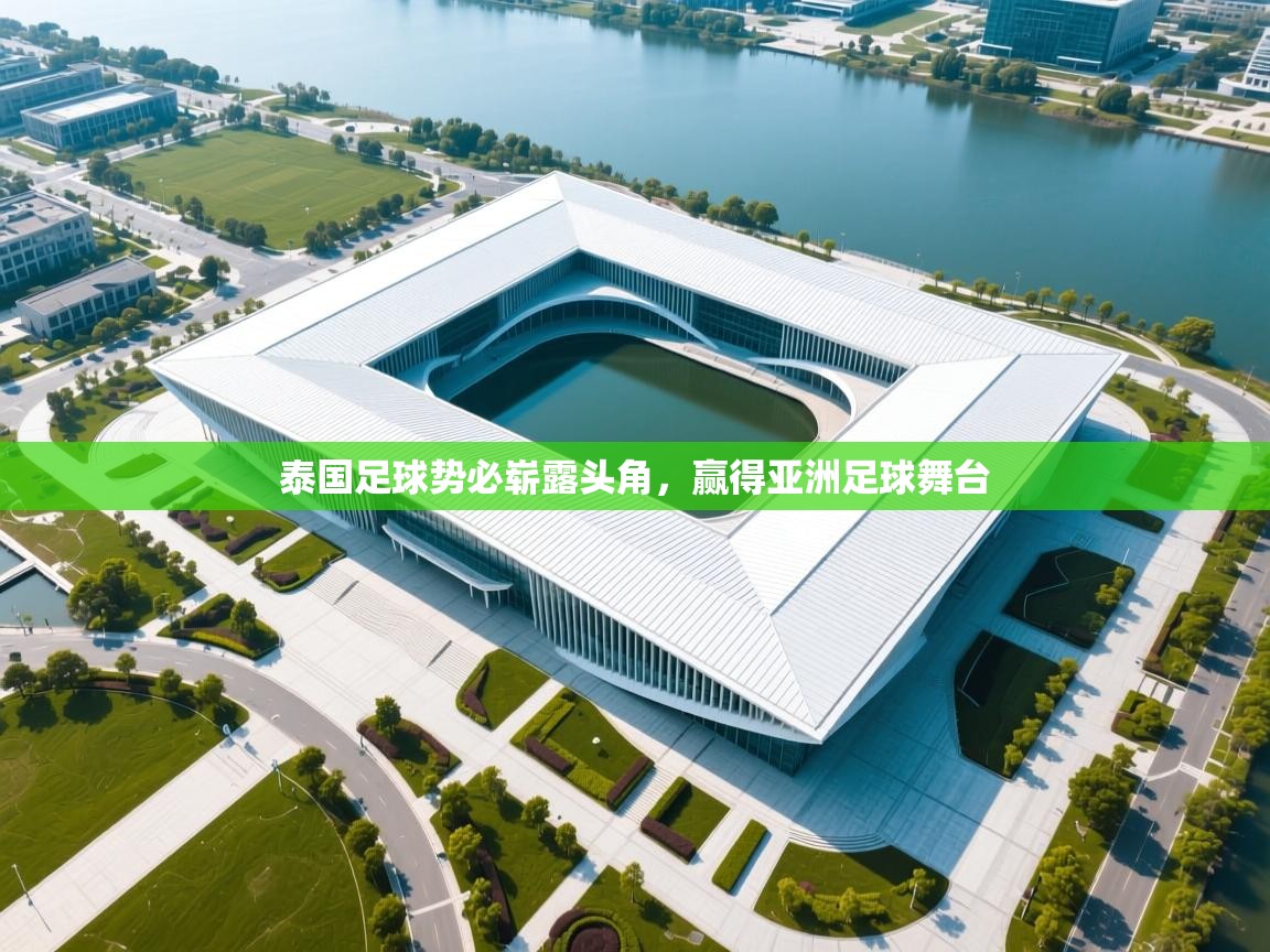 乐动体育app下载官网-泰国足球势必崭露头角,赢得亚洲足球舞台 第4张