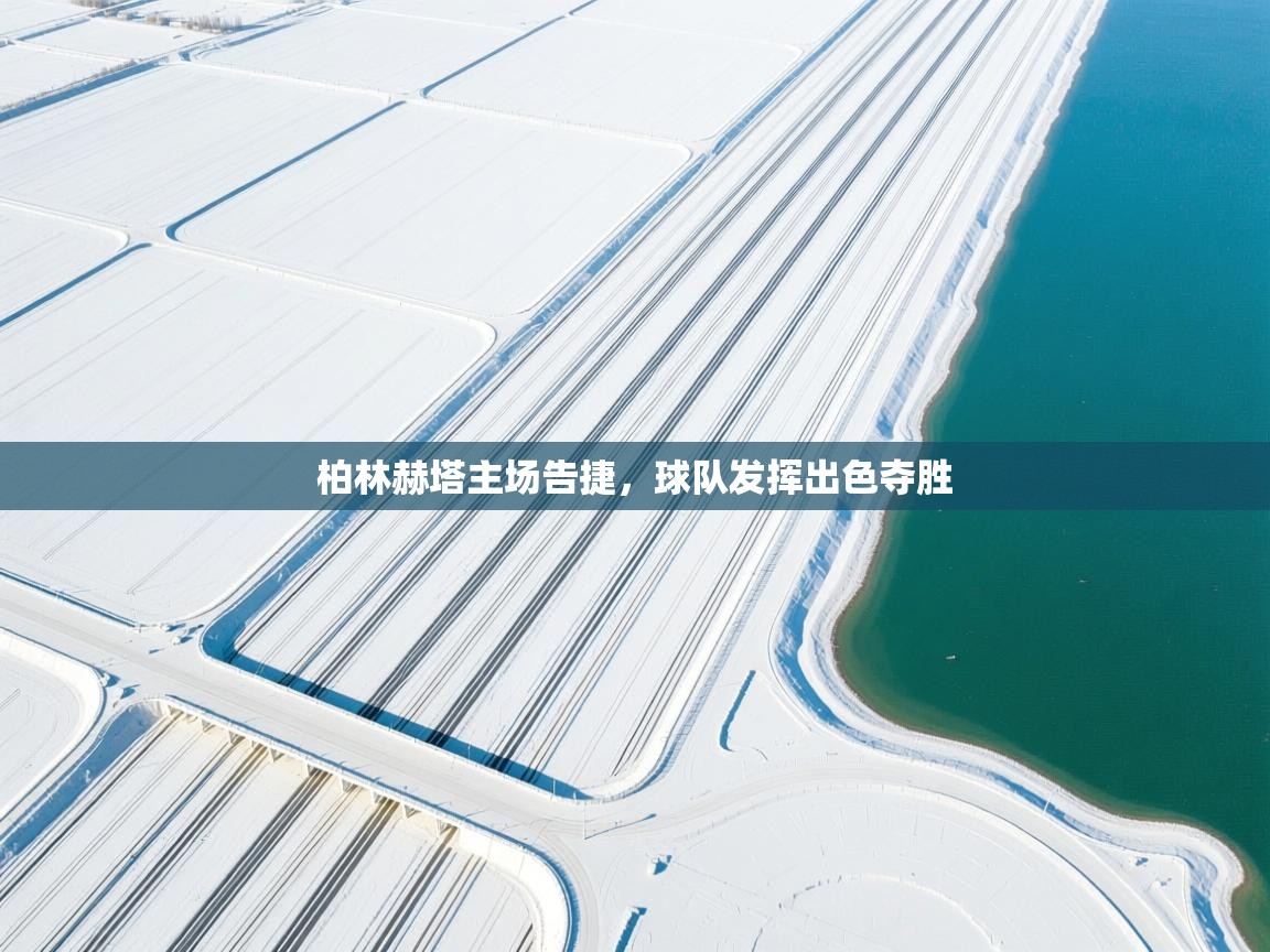 乐动体育直播-柏林赫塔主场告捷，球队发挥出色夺胜  第1张