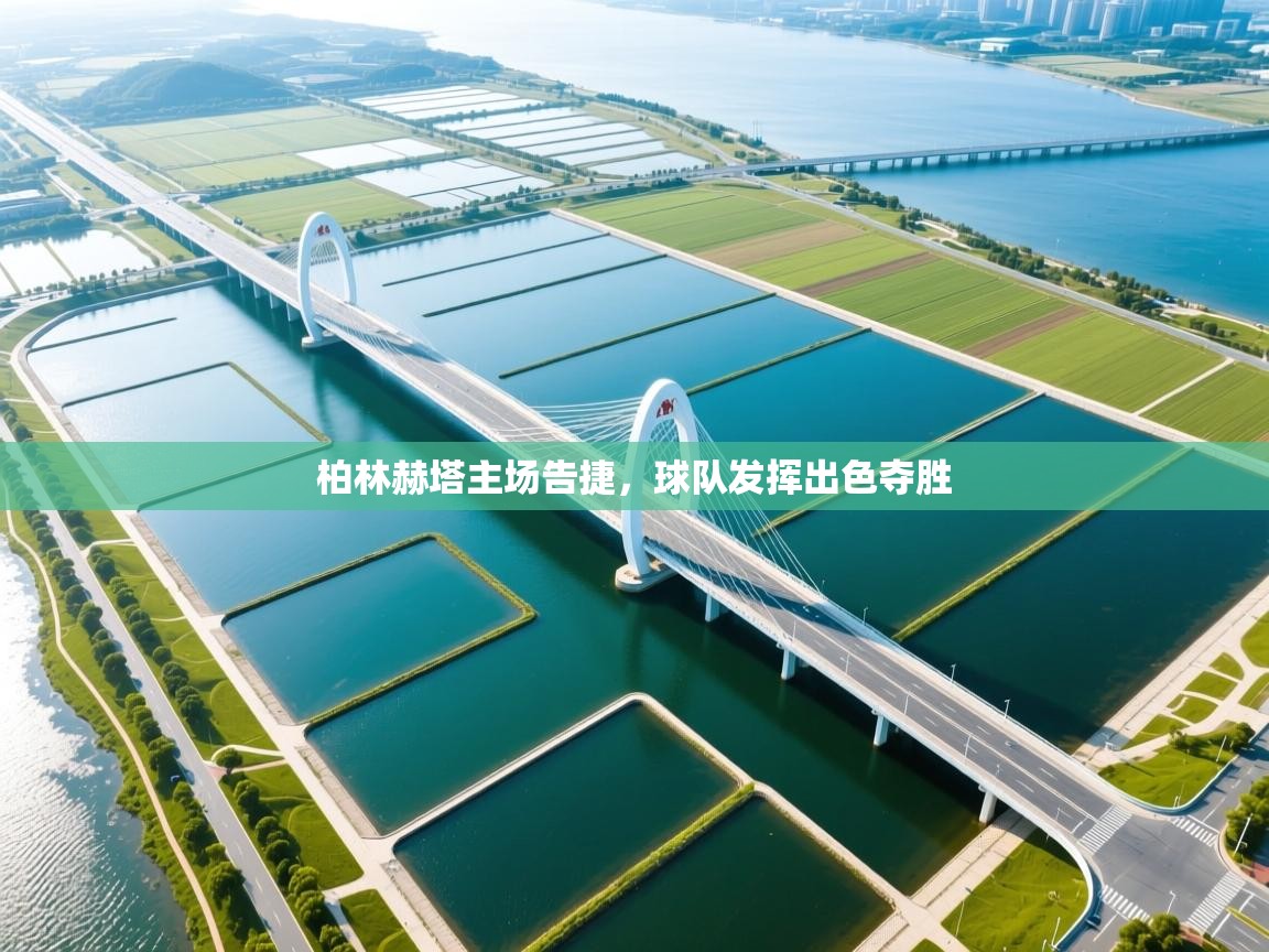 乐动体育直播-柏林赫塔主场告捷，球队发挥出色夺胜  第4张